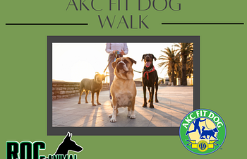 Book AKC Fit Club Walk