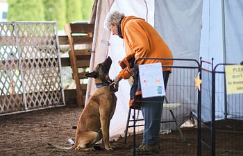 Book Barn Hunt Routines Workshop