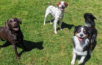 Book Daycare