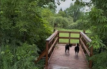 Book Rentals Off-Leash Trail  - 30 Minutes