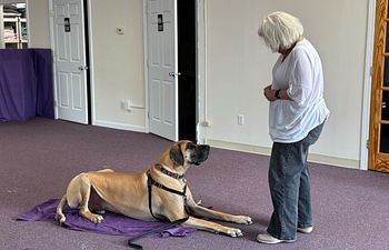 Book Facility Manners Lesson