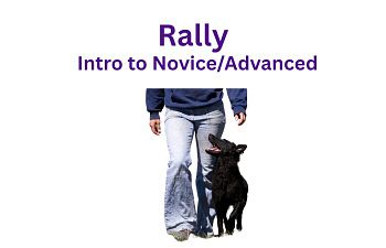 Book Rally - Introduction to Novice/Advanced