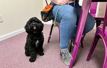 Book Life Skills: Pizza Party