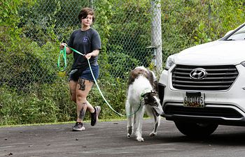 Book Intro to Nosework Workshop