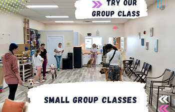 Book Free Intro Class