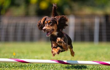 Book Building Confidence & Speed 