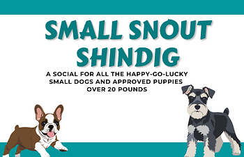 Book [01] Devon Socials - Small Snout Shindig