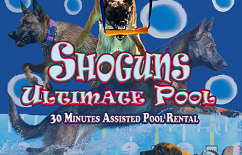 Book 30 Min Assisted Pool Rental