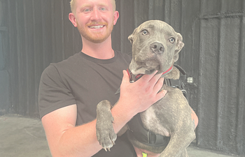 Book Dog Training Consultation