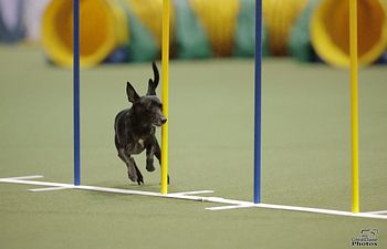 Book Agility 3
