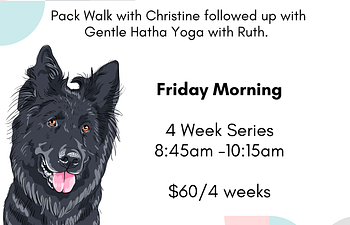 Book Yoga Flow with your Furry Friend (25min Walk / 1h Yoga)