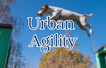 Book Urban Agility