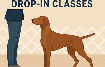 Book Conformation Drop In 