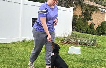 Book Stage 1: 𝗧𝗵𝗲 𝗣𝗲𝗿𝗳𝗲𝗰𝘁 𝗦𝘁𝗮𝗿𝘁 𝗣𝘂𝗽𝗽𝘆 𝗖𝗹𝗮𝘀𝘀 (10 weeks to 6 months old)