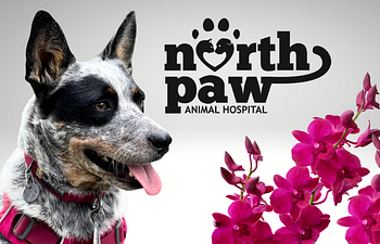 Book Private Session - Veterinary - North Paw Employees