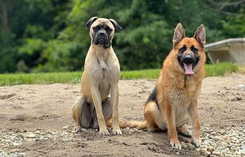 Book Group Practice Class | For Graduates of Training Programs