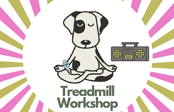 Book Treadmill Workshop - Devon