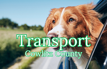 Book Request Transportation