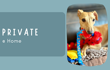 Book Private Session @ Home