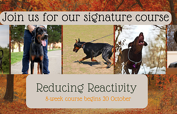 Book Reducing Reactivity 