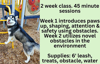 Book Workshop: Canine Parkour
