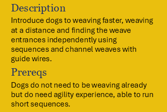 Book Weaves & Lines - Drop In