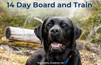 Book Board and Train  