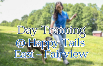 Book Day Training @ Happy Tails East (Fairview)