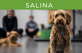 Book SALINA • 1st Grade GROUP CLASS