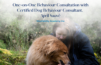 Book One-on-One Behaviour Consultation with Certified Dog Behaviour Consultant, April Sauvé