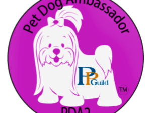 Book Life Skills - PDA Level 2