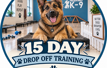 Book 15 Day Training 