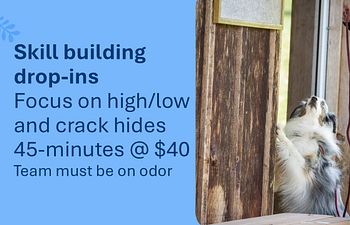 Book Scent Work Drop-In: Advanced Skill Building