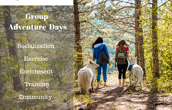 Book Group Adventure Day