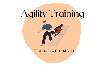 Book Agility Foundations II