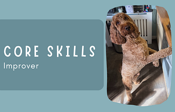 Book Core Skills: 2 - Improver