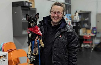 Book Chaotic Canine Class 