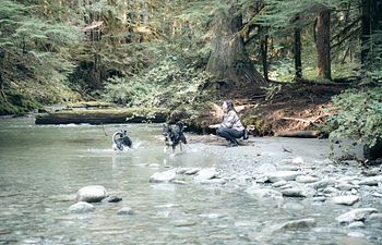 Book FREE Phone Consultation