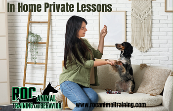 Book In Home Private Lesson