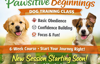 Book Pawsitive Beginnings-Foundation Class