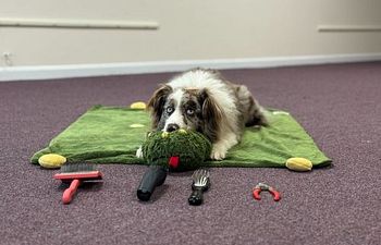 Book Life Skills: Cooperative Care