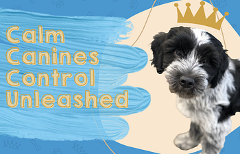 Book Control Unleashed®Advanced Games Workshop