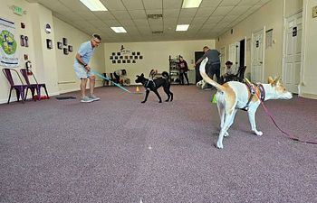 Book Marvelous Manners: Rocket Recalls!