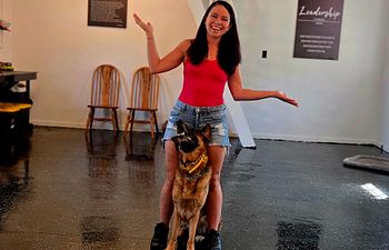 Book Private Lesson-@ Hollis K-9 Coaching