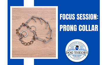 Book Focus Session: Leash Skills - Prong Collar 