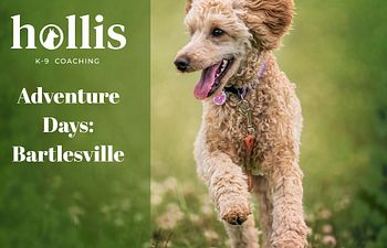 Book Adventure Days-Bartlesville Area