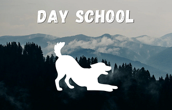 Book Day School