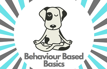 Book Class 301 - Behaviour Based Basics (Devon)