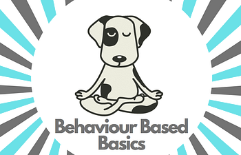 Book Devon - Behaviour Based Basics