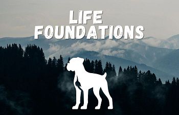 Book Life Foundations